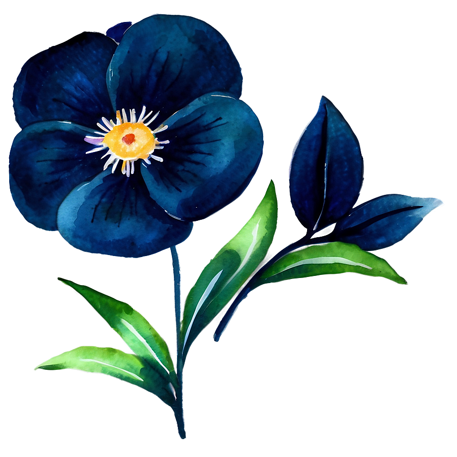 Midnight Watercolor Flower Png 75