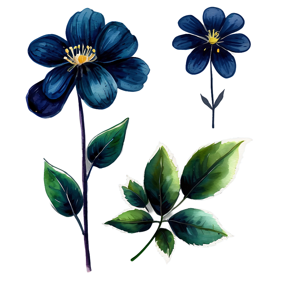 Midnight Watercolor Flower Png Aym