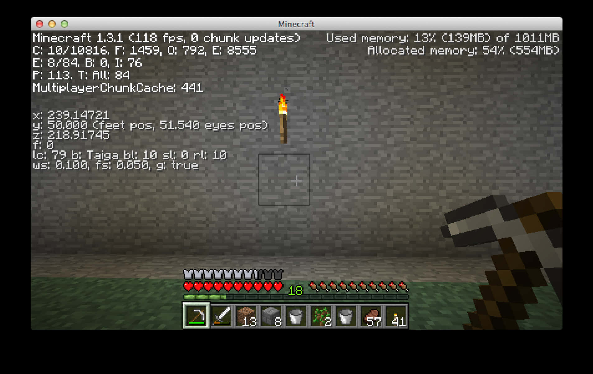 Minecraft_ Gameplay_ Screenshot_with_ Debug_ Screen