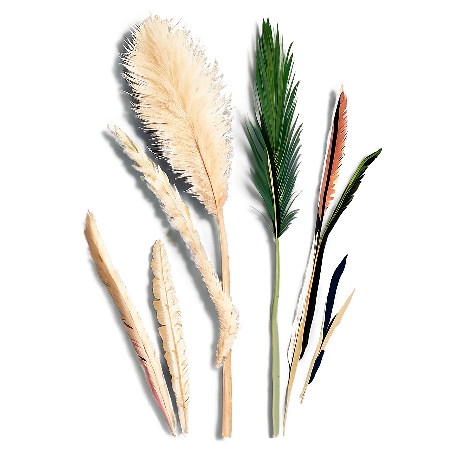 Mini Pampas Bunches Png 43