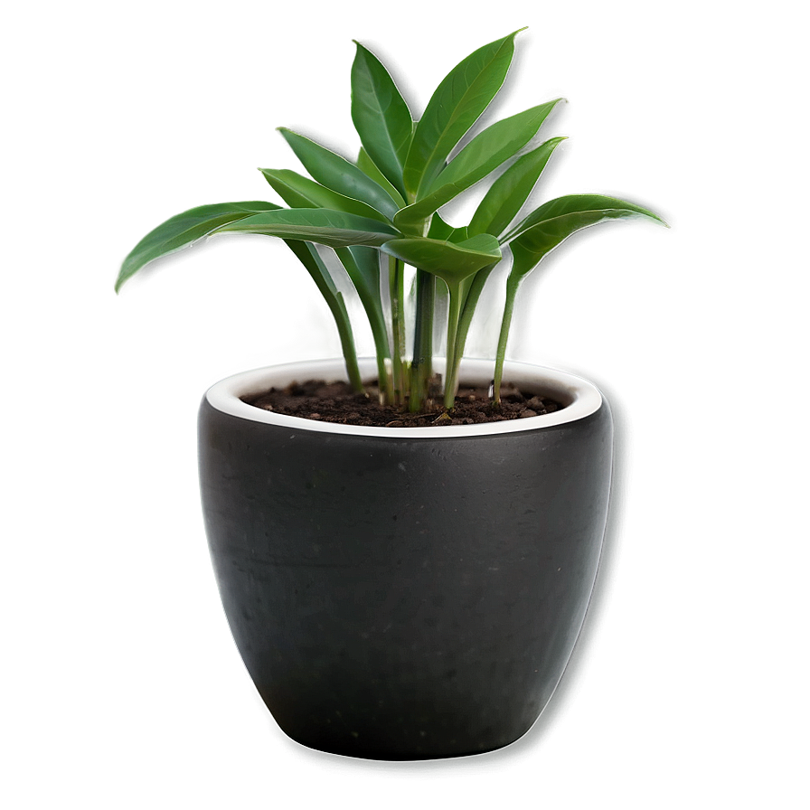 Mini Pot Png 05242024