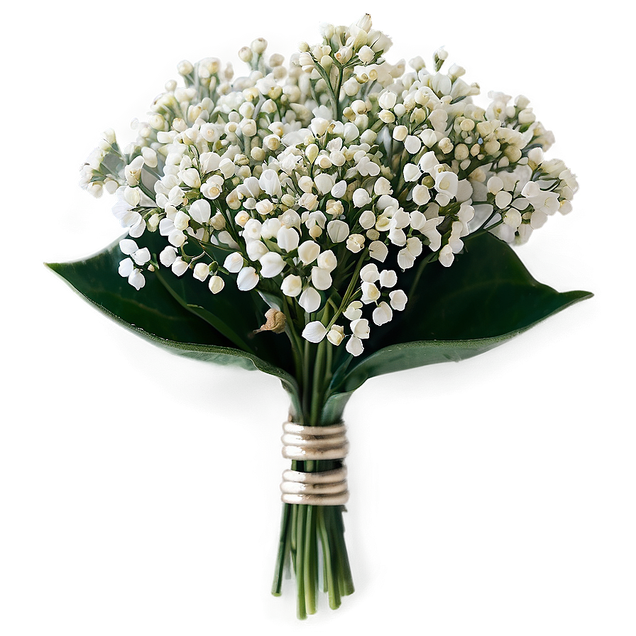 Miniature Baby's Breath Posy Png Aqn30