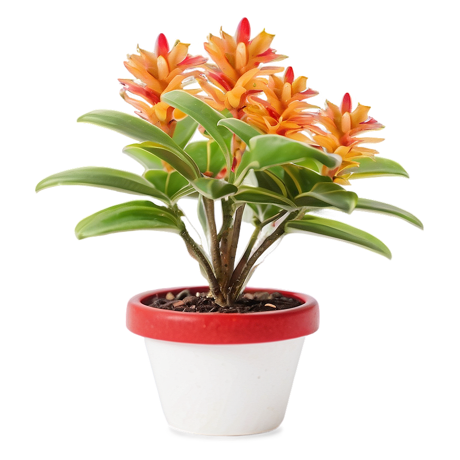 Miniature Houseplant Png 06202024