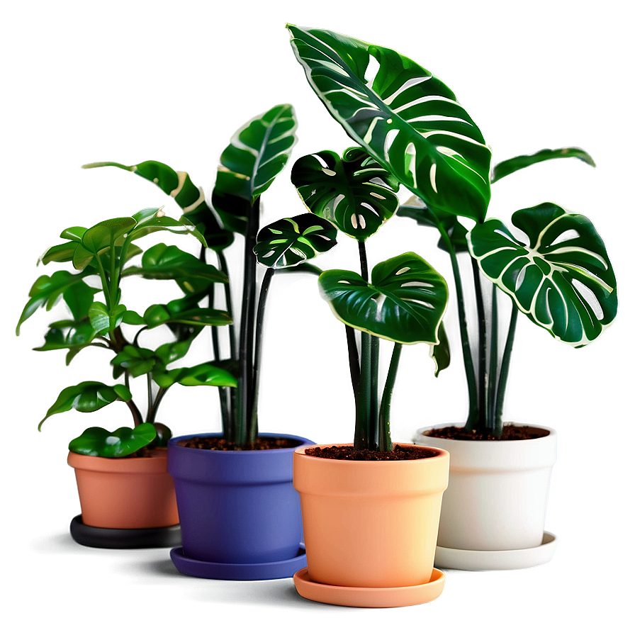 Miniature Houseplant Png Vkx20