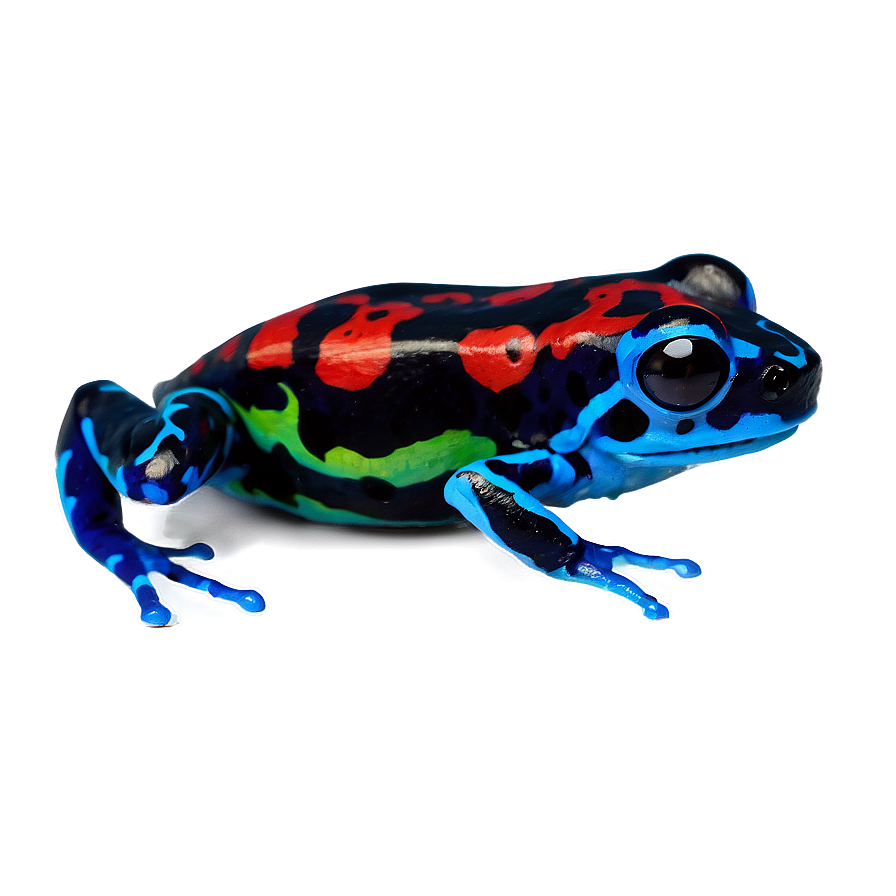 Miniature Poison Dart Frog Png Lxq66