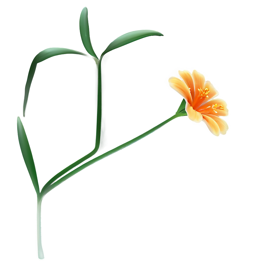 Minimal Orange Flower Png Lvh6