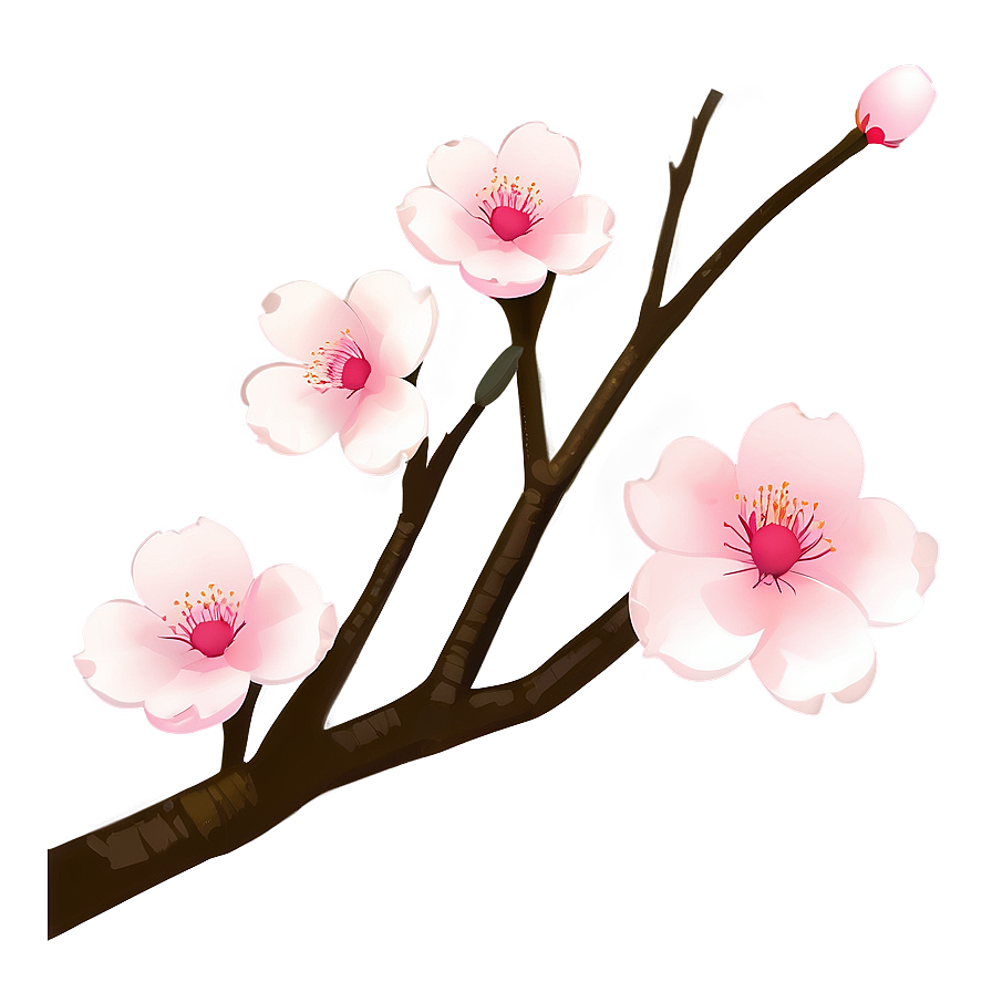 Minimalist Cherry Blossom Art Png 05032024