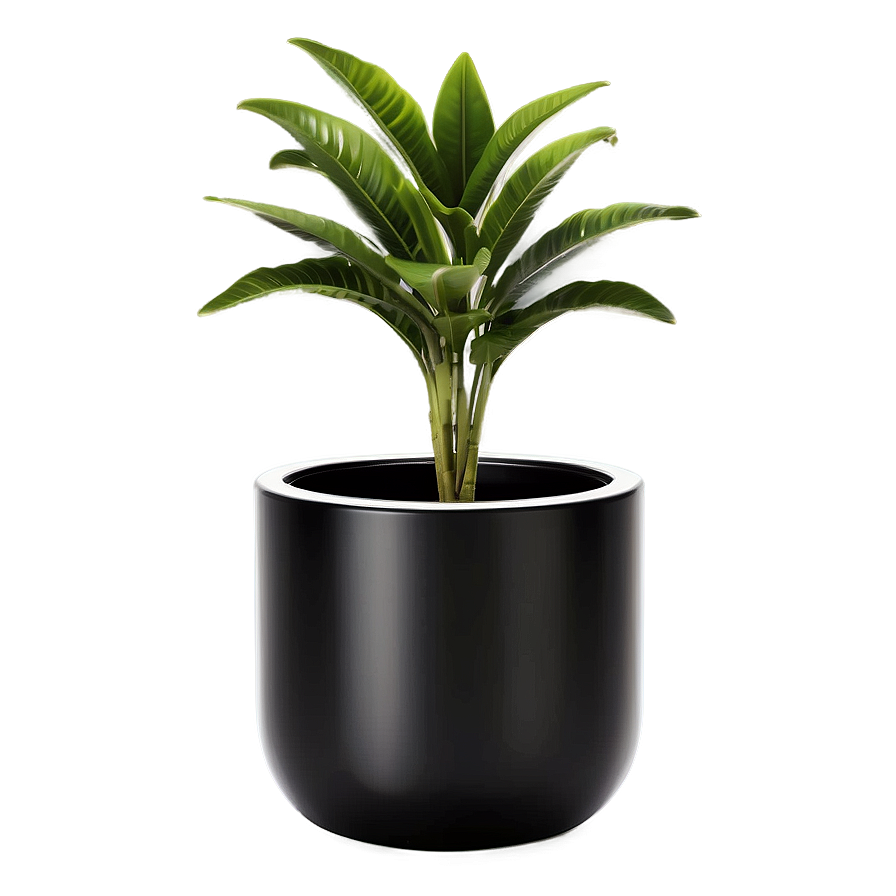 Minimalist Floor Plant Png 9