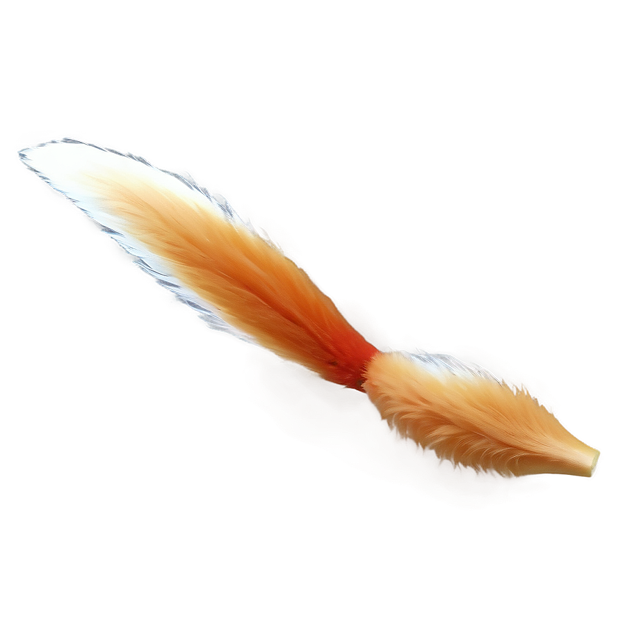 Minimalist Fox Tail Png 06282024