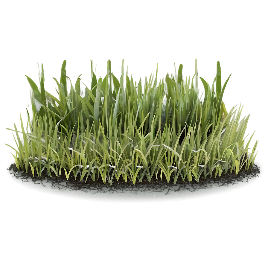 Minimalist Grass Patch Png Eke84