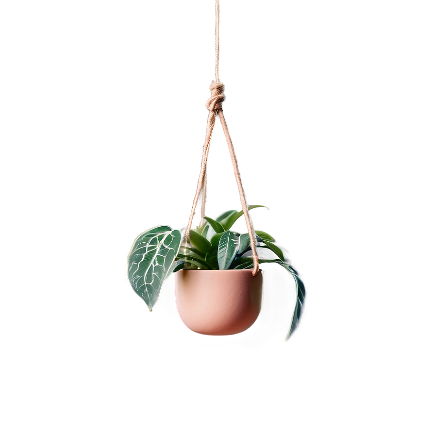 Minimalist Hanging Plant Png Kpr