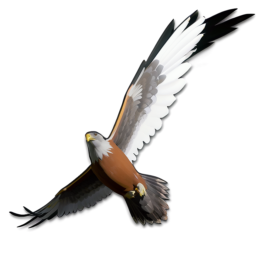 Minimalist Hawk Design Png 66