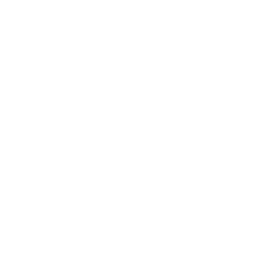 Minimalist Home Icon