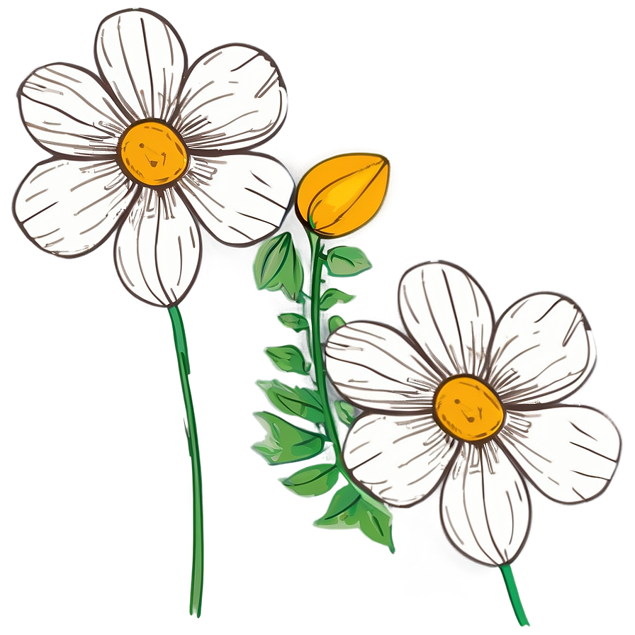 Minimalist Indie Flower Sketch Png Jhu6