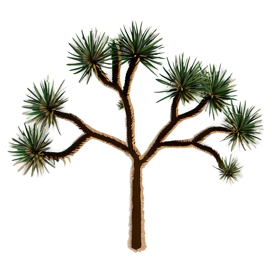 Minimalist Joshua Tree Design Png Otw85