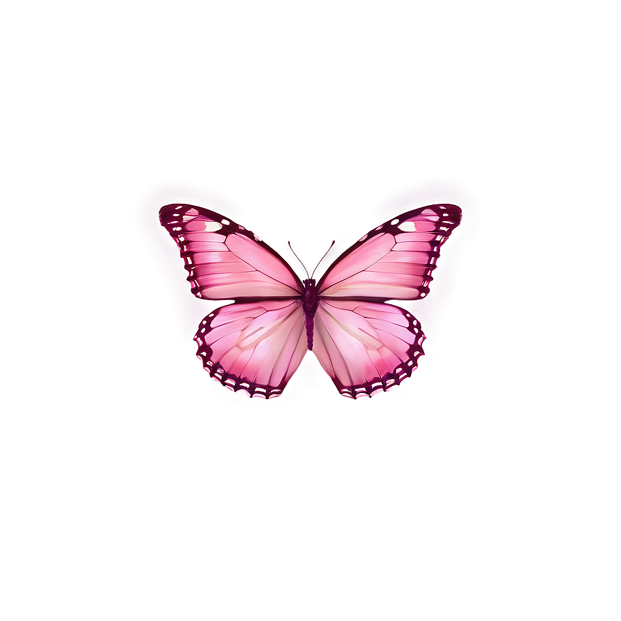 Minimalist Pink Butterfly Png Qcg76