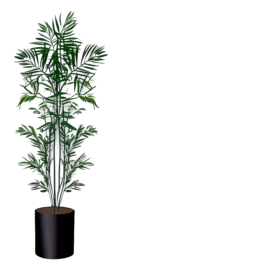 Minimalist Tall Plant Png 06282024