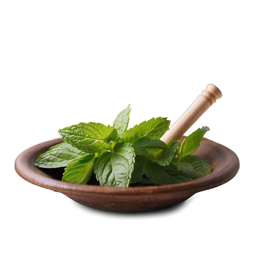 Mint Aroma Therapy Png 06122024