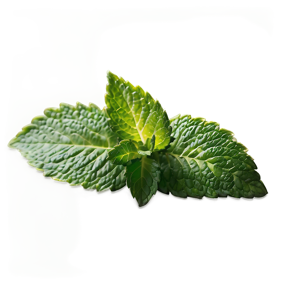 Mint Leaf Garnish Png 06122024