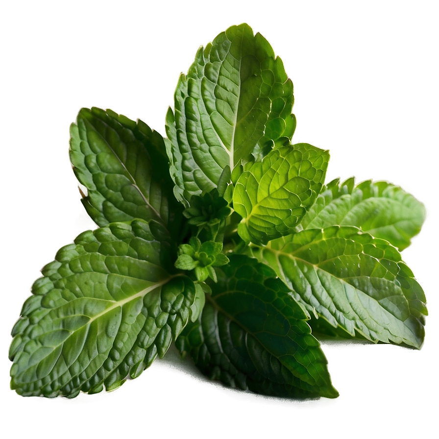 Mint Leaves For Cooking Png Qoi36