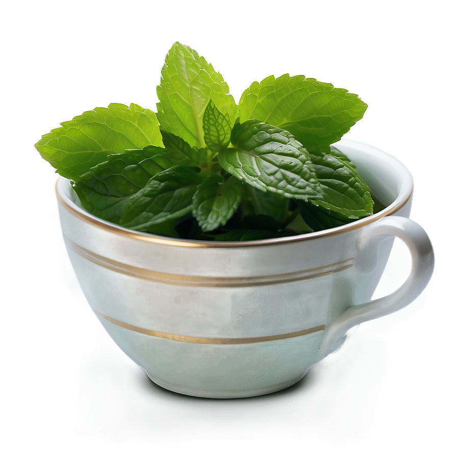 Mint Leaves Tea Png 06262024