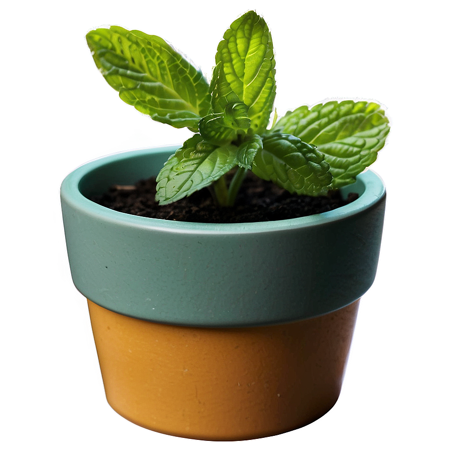 Mint Plant Pot Png Kvt95