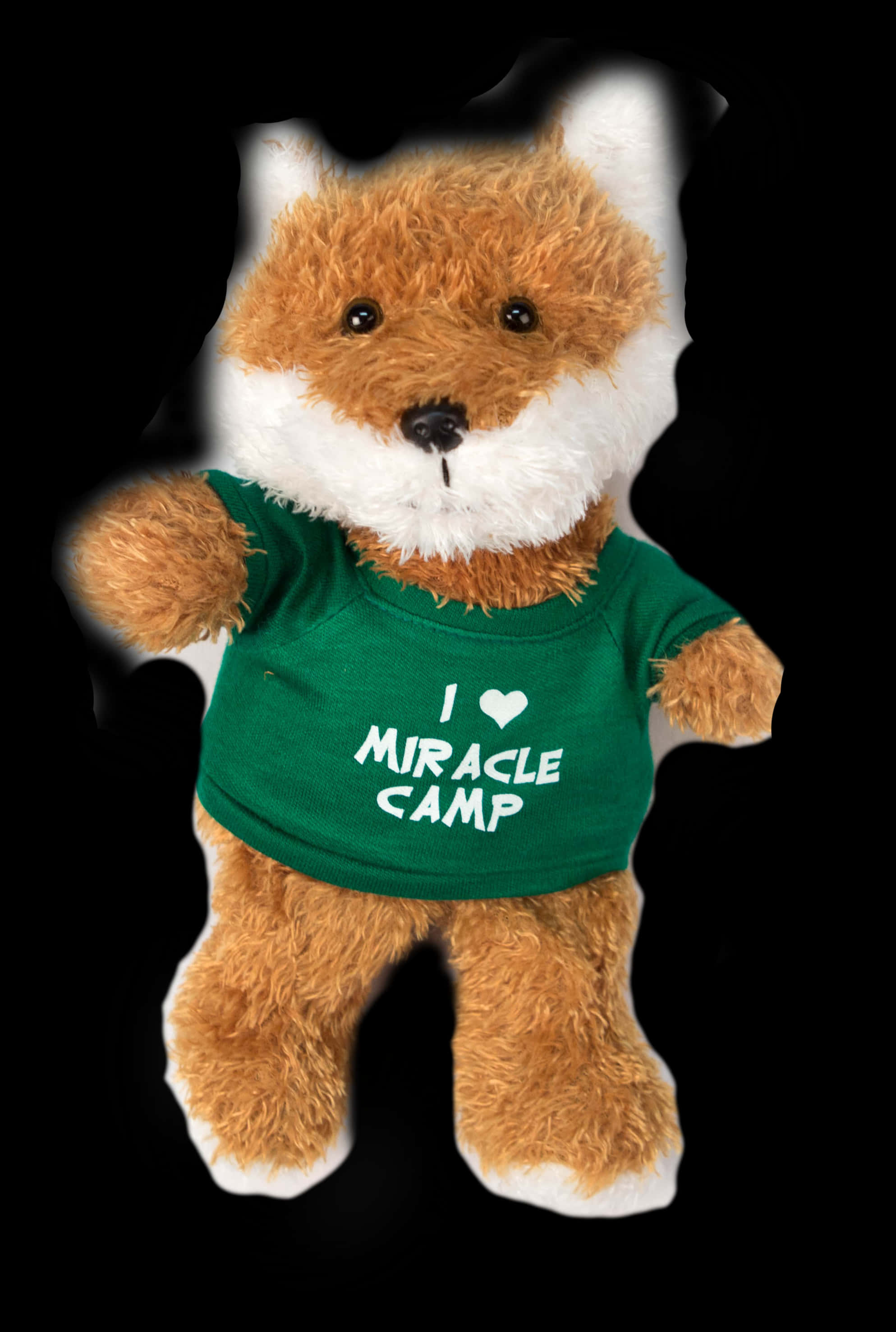 Miracle Camp Love Teddy Bear