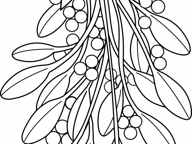 Mistletoe Illustration Black White