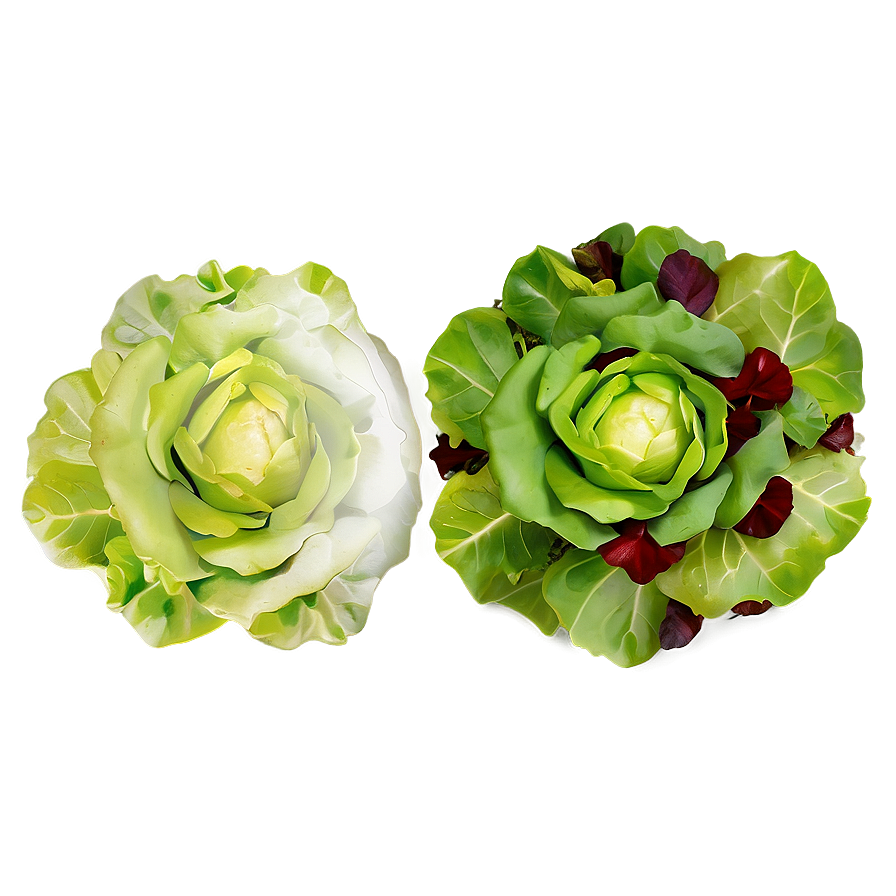 Mixed Lettuce Png Ifc15