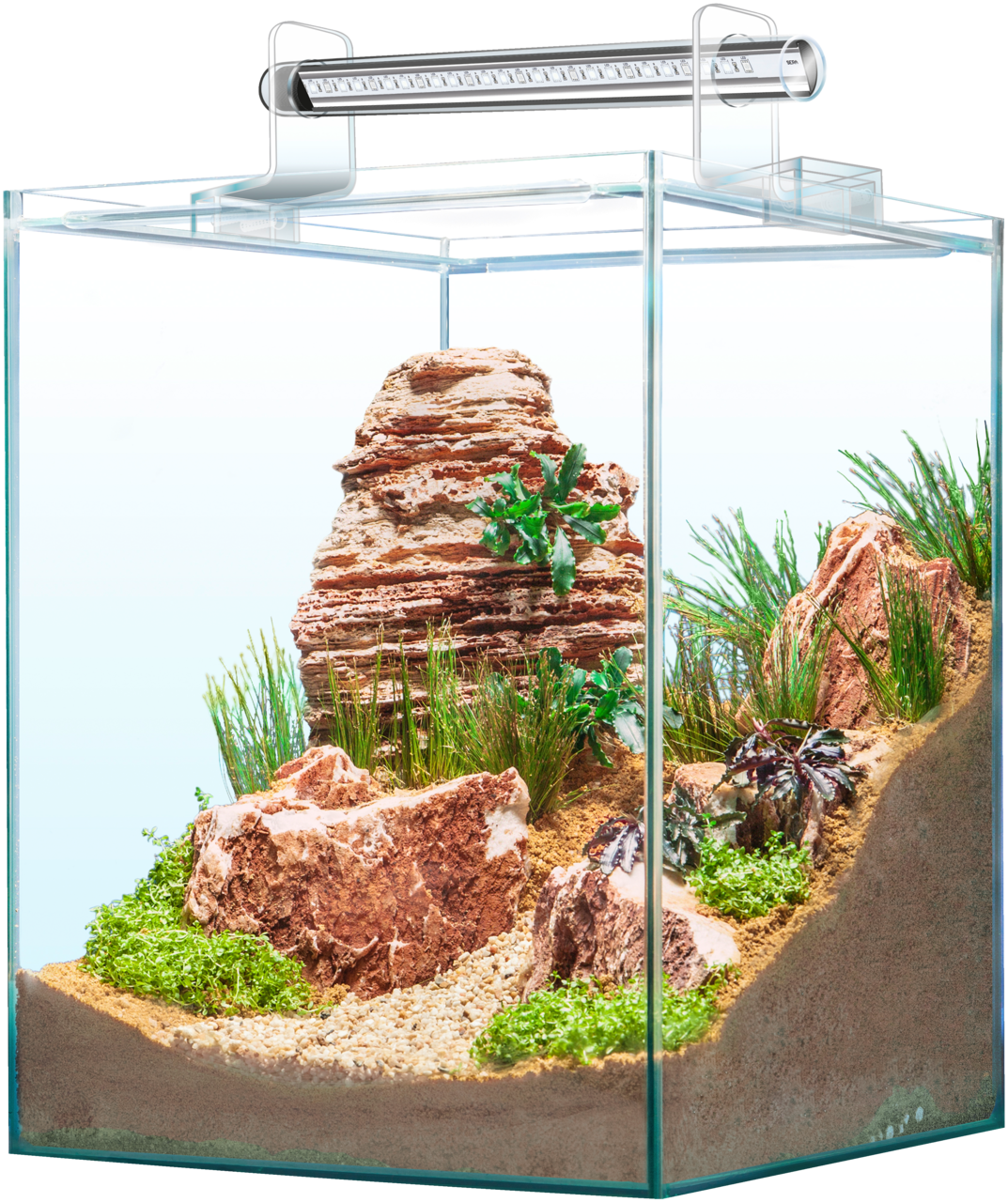 Modern Aquarium Design