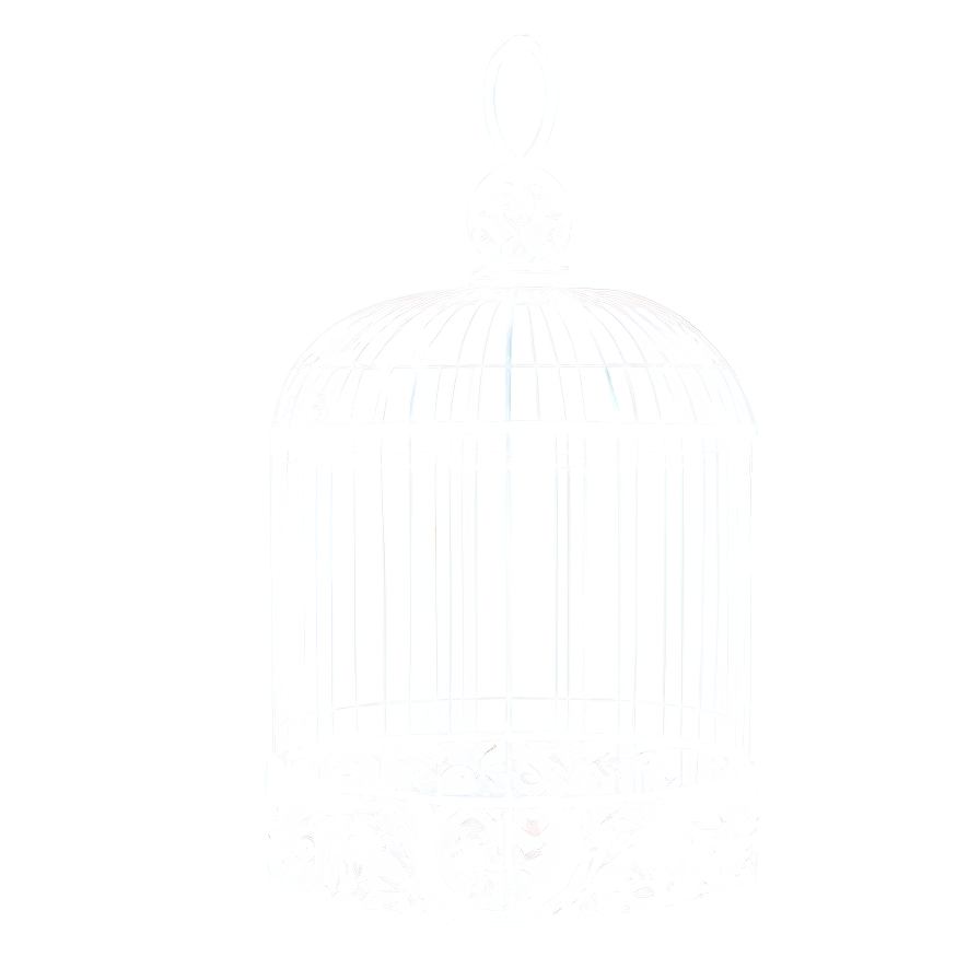 Modern Birdcage Art Png Kil85