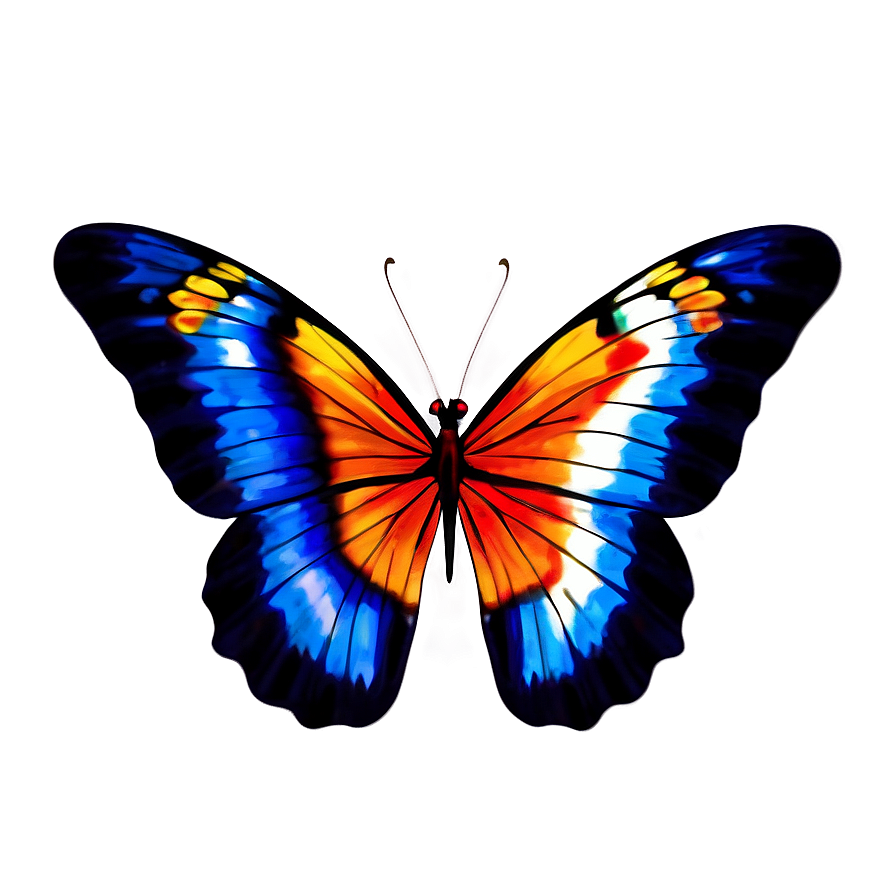 Modern Butterfly Outline Png 05252024