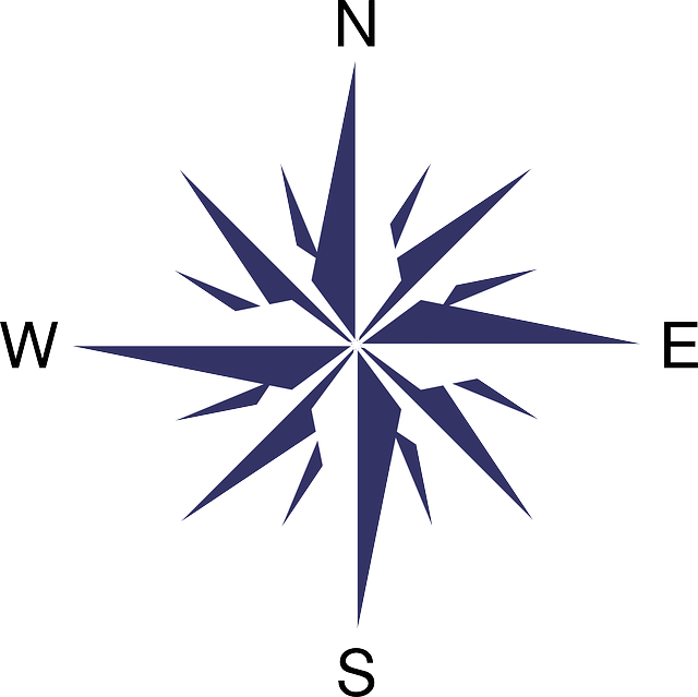 Modern Compass Rose Graphic