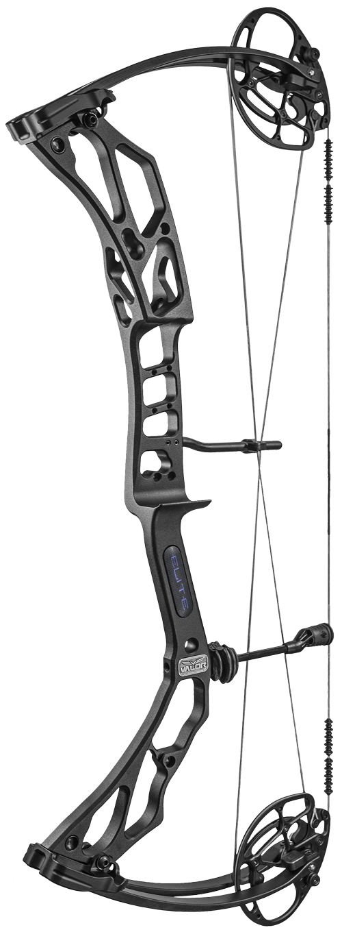 Modern Compound Bow