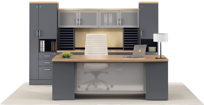 Modern Executive Office Setup