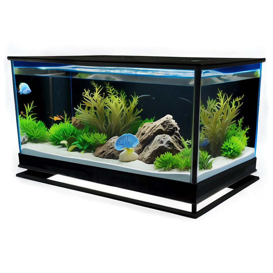 Modern Fish Tank Png 68