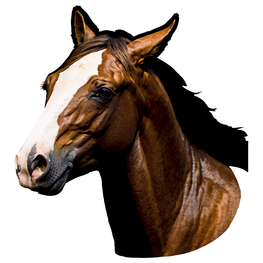 Modern Horse Head Logo Png 92