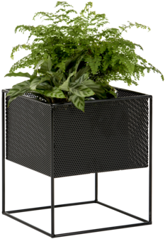 Modern Metal Planterwith Green Fern