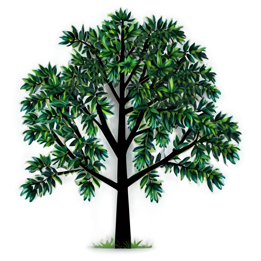 Modern Tree Elevation Png 06262024