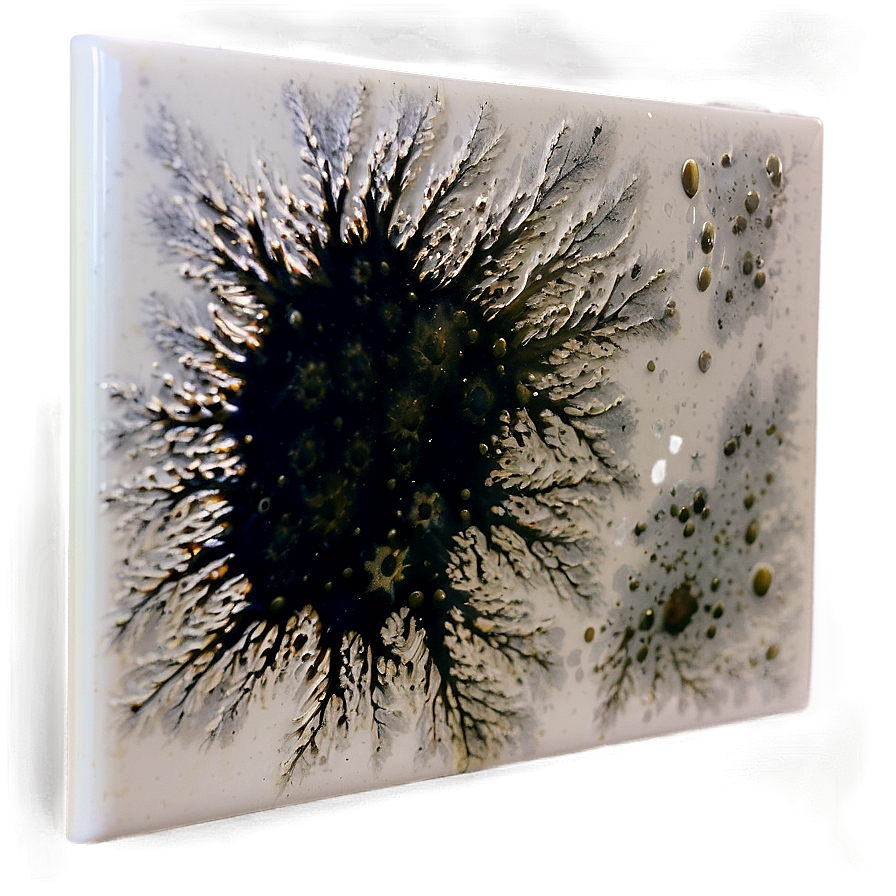 Mold Stain Png Ksm