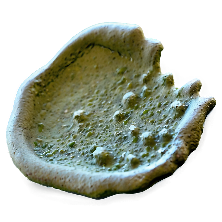 Moldy Surface Png 13