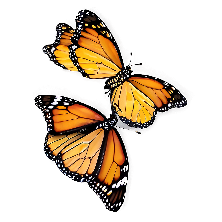 Monarch Butterflies Cluster Png 06252024