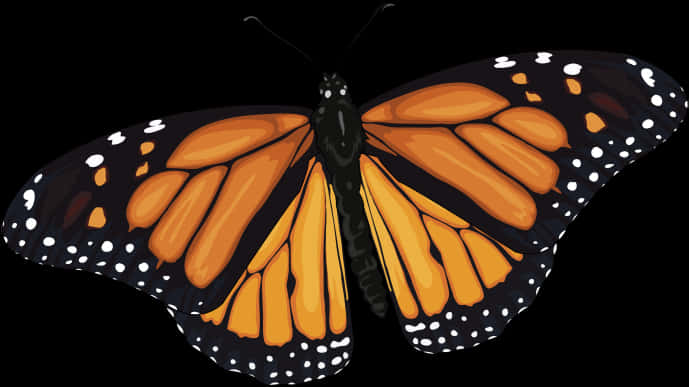 Monarch Butterfly Illustration