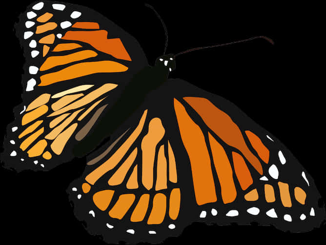 Monarch Butterfly Illustration