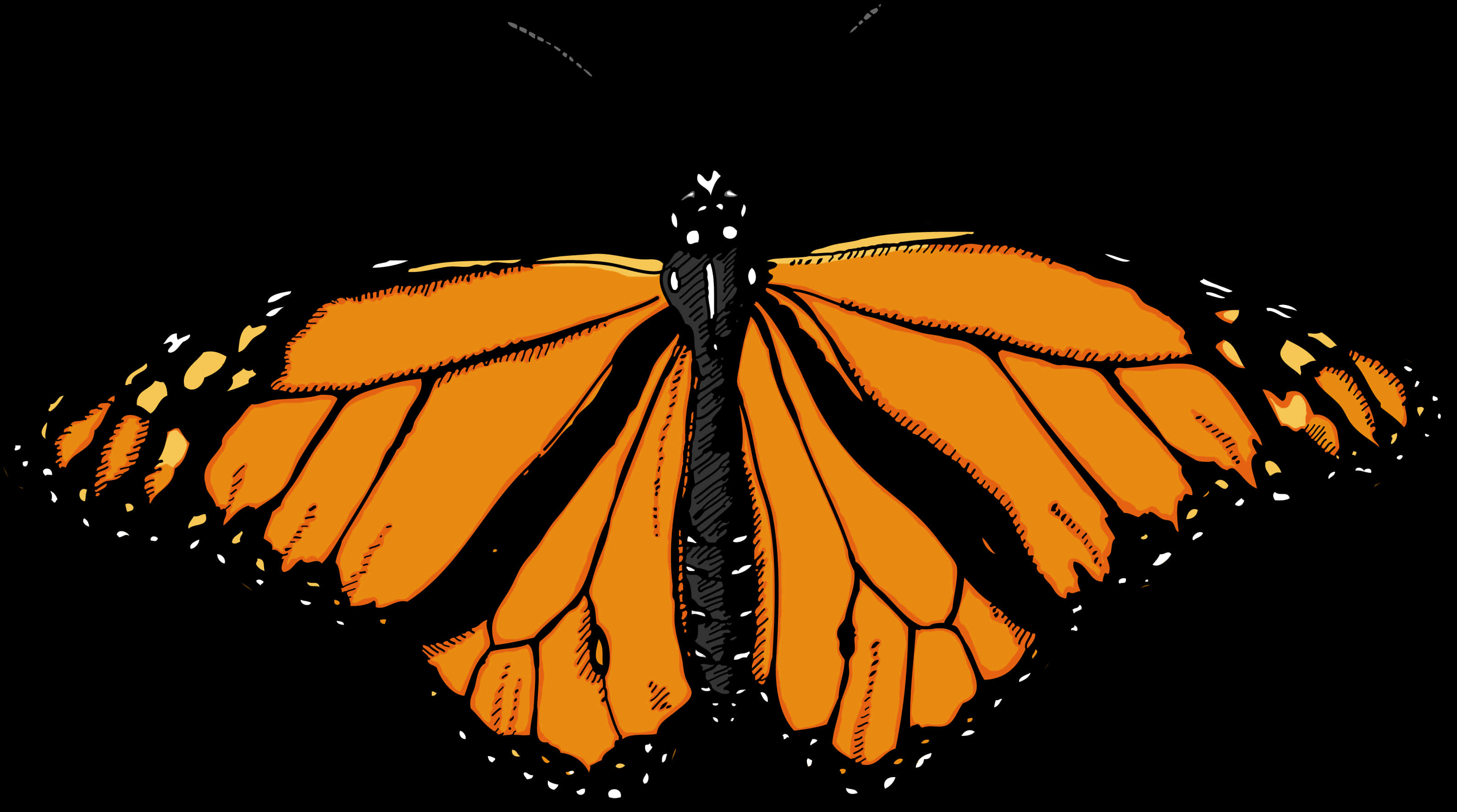 Monarch Butterfly Illustration