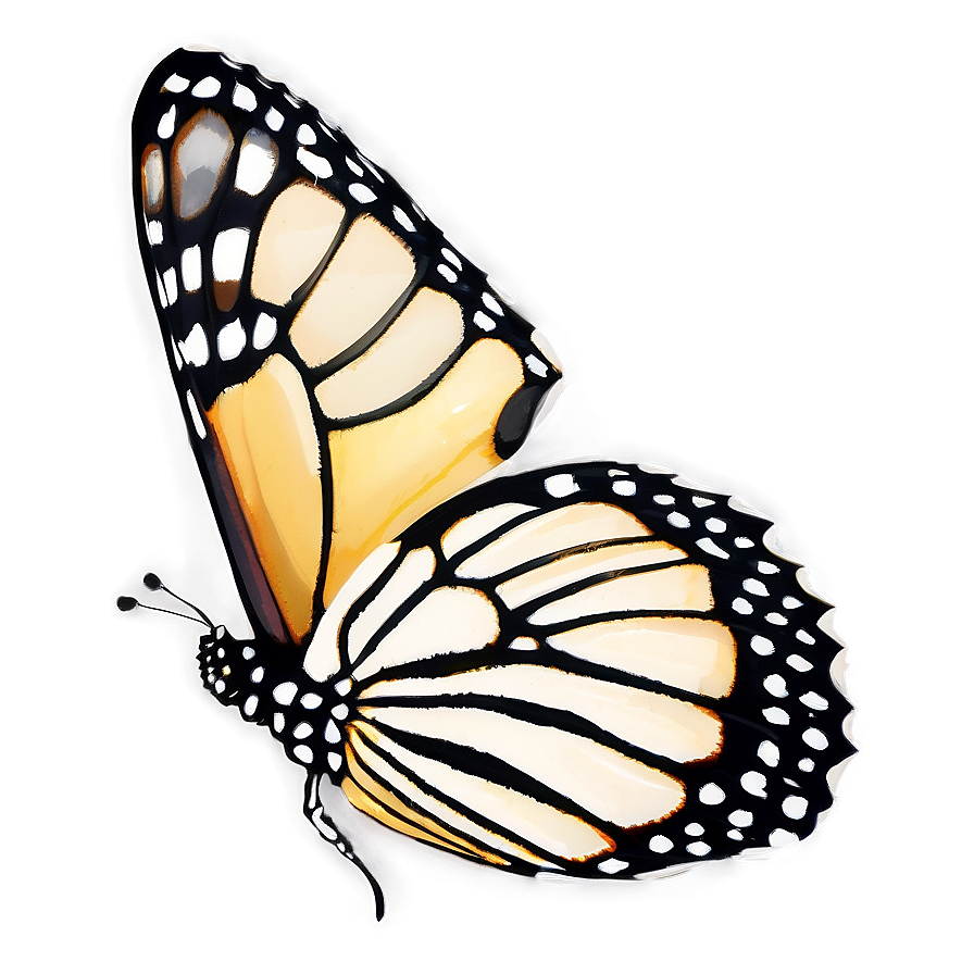 Monarch Butterfly Outline Png 05252024