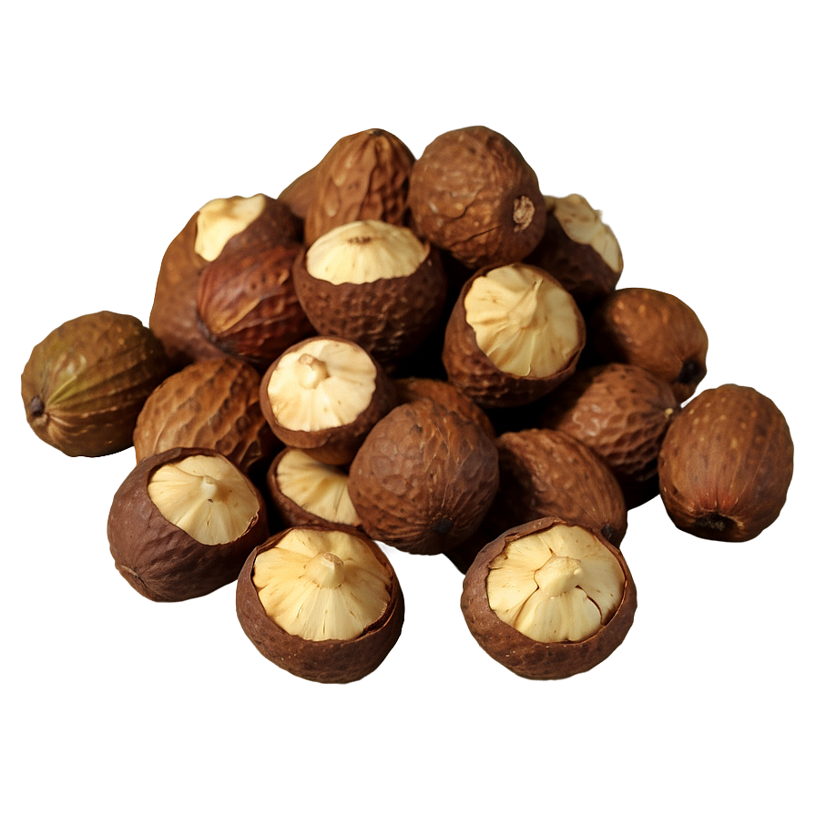 Mongongo Nut Png 8