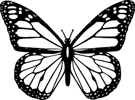 Monochrome Butterfly Silhouette