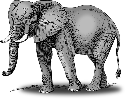 Monochrome Elephant Illustration