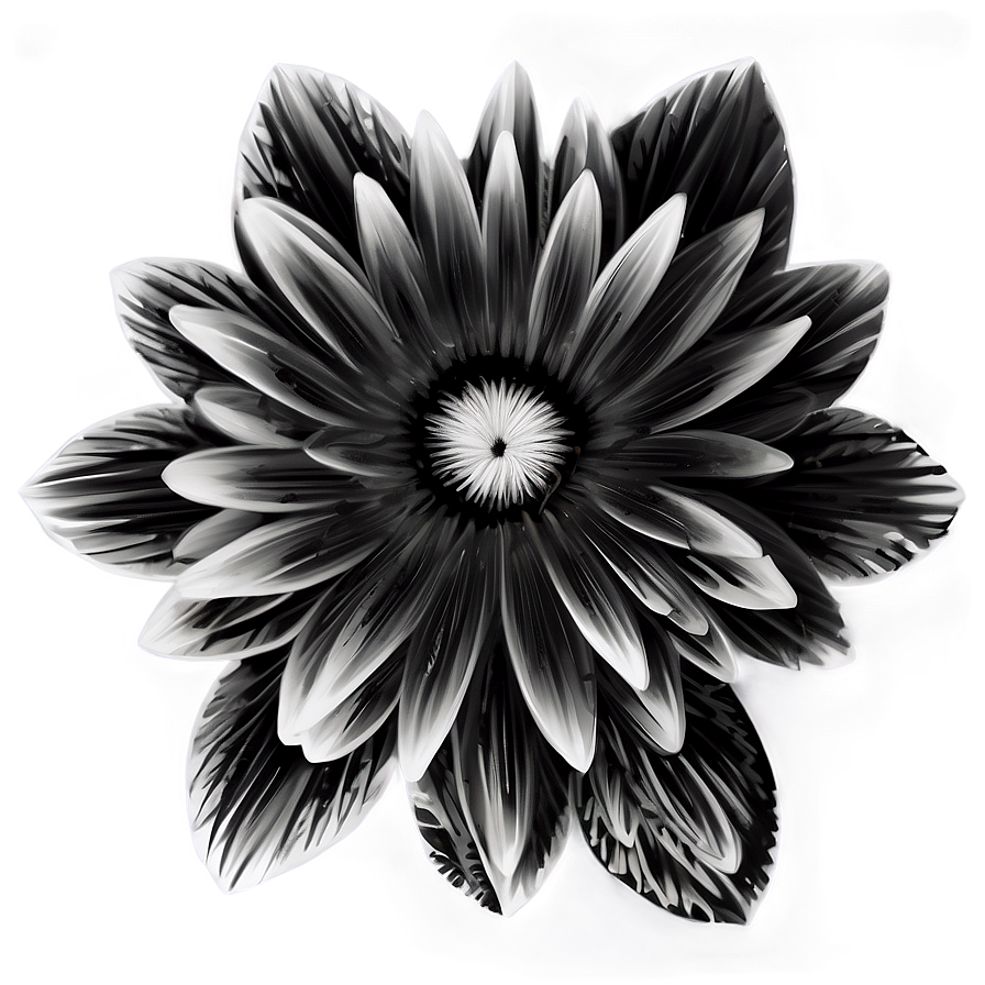 Monochrome Indie Flower Png 06252024